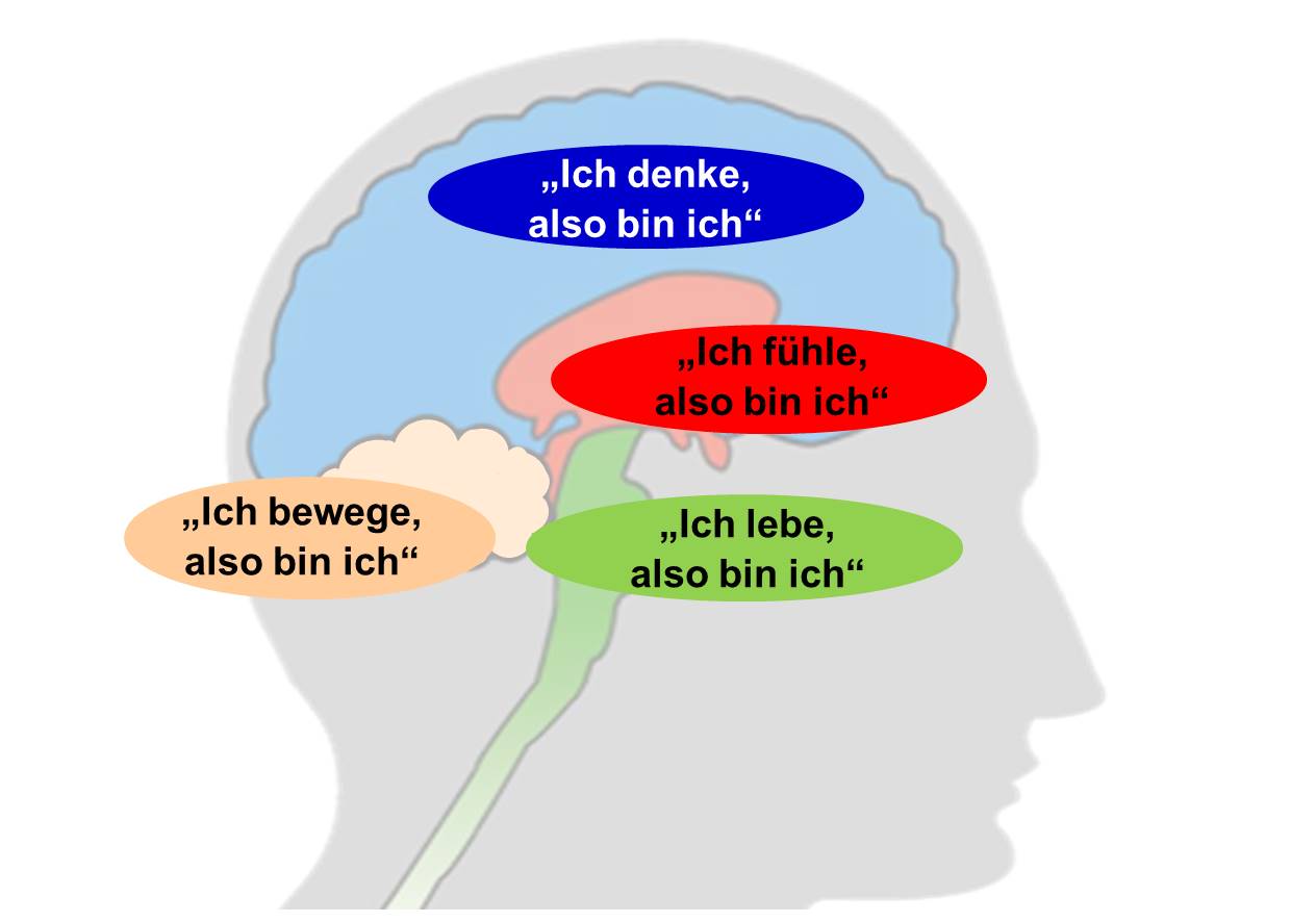 Neuroideenmanagement 3 das Gehirn als Lustsucher Neuroideenmanagement 3 das Gehirn als Lustsucher
