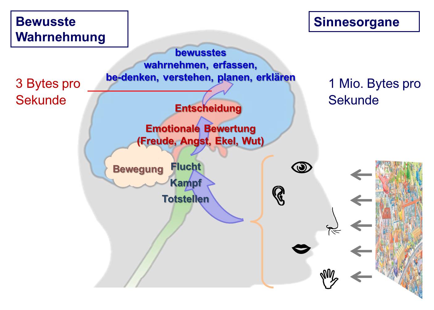Neuroideenmanagement 3 – das Gehirn als Lustsucher