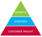 growth-strategy-customer-insights